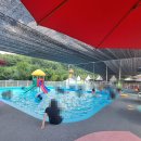 세종 훼미리랜드 수영장 이미지