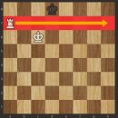 체크메이트 룩 이미지