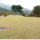 들꽃피는언덕 이미지