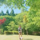씨오디아이