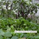 풍년회관 이미지