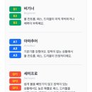 플랩