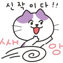 그림의집서점 이미지