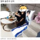 쇼피셀