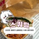 스쿼럴 | [완도] 스쿼럴,squirrel,샌드위치 맛집,샌드위치 카페,내돈내산,솔직후기