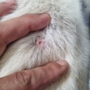 개신남3호점 이미지