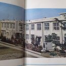 이리송학초등학교병설유치원 이미지