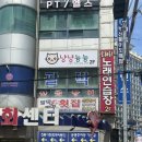 냥냥늉늉 | 부산 광안리 유기묘카페 냥냥늉늉 후기, 고양이와 힐링 이색 데이트 😸😽