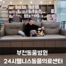24시 웰니스 동물 의료센터 | 부천동물병원 24시웰리스동물의료센터 접종 후기