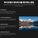 동영상 워터마크 제거, 이제 1분 만에 해결! VidMage AI 사용 후기