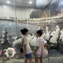 푸른바다와금빛해변 이미지