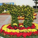 북구청 앞 광장 이미지