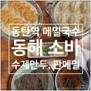 동탄역 메밀국수 맛집 동해소바 수제만두 판메밀국수 후기