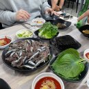 추적60병 이미지