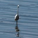 개화산 약사사 삼거리 | 개화산과 한강생태공원을 다녀오다.