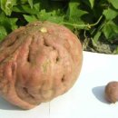 Today in Photos (11/1) 이미지