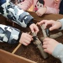 삼죽초교병설유치원 이미지