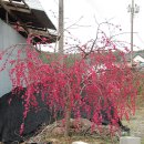 금성농약사 이미지