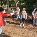 하늘산어린이집 이미지