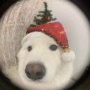 수원시 팔달구 화서문로16번길 | [수원] 수원 원하니까