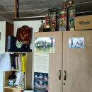 숭민 권투 체육관 이미지