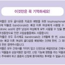 Ibadronate와 Zoledronic acid를간단히 비교해 보겠습니다. 이미지