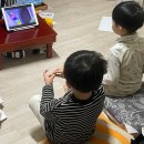 허약한 퐁순이의 2주 모음집