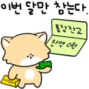 쥬니버스