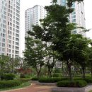 해솔마을7단지 앞 이미지