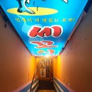 오징회세꼬시