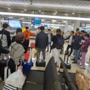 이철구여행 이미지