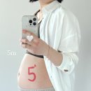 꿍야