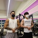 더 베네핏 이미지