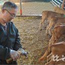 김창순농장 농민신문