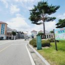 상군농장 이미지