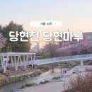 이교카페 | 노원 당현천 카페 당현마루 후기 (수변카페 3곳 중 가장 조용한 곳)
