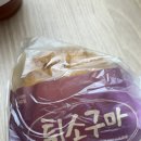 공부도 하고 연희동 나들이 | 가라지 가게, 유어마인드, 노만주의 카페, 에노테카오토, 애니브