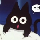 라이프이즈쿨