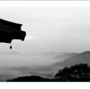 하얀노을 이미지