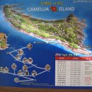 동백섬민박 이미지