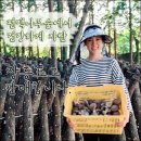 케이팜스타 이미지