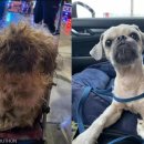 (주)뭉치 이미지