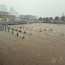 양동닭전길시장1 이미지