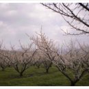 섬지뜰농장 이미지