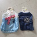 치마저고리 | 다이소 곤룡포 k댕냥 한복 치마저고리 한복 블루 색상 선글라스 고양이 후기