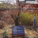 남사-16 이미지