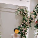 더스토리짐 이미지