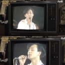 무한궤도