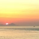 야생화민박 이미지