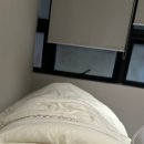 태화메디 | 부산 서면 데자뷰메디스킨 | 속건조, 수분관리 서면 피부과 솔직 후기